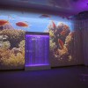 Проекционный дизайн "Виртуальная реальность" базовый комплект 500 анимаций - «globural.ru» - Будённовск