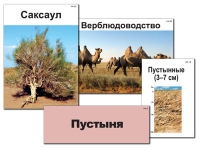 Модель-аппликация "Природные зоны России" - «globural.ru» - Будённовск