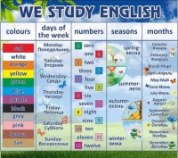 Стенд "We study english" - «globural.ru» - Будённовск