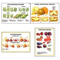 Плакаты ПРОФТЕХ "Ассортимент овощных культур" (12 пл, винил, 70х100) - «globural.ru» - Будённовск