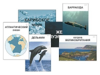 Модель-аппликация "Океаны. Знакомство" (ламинированная) - «globural.ru» - Будённовск