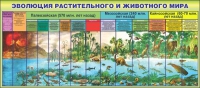 Стенд "Эволюция растительного и животного мира" - «globural.ru» - Будённовск