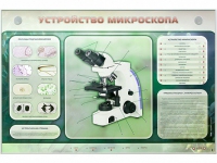 Электрифицированный стенд "Устройство микроскопа и правила работы c ним" - «globural.ru» - Будённовск
