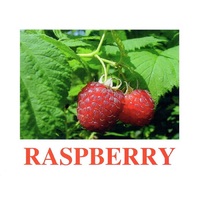 "Berries-1" ("Ягоды-1") английские карточки Домана - «globural.ru» - Будённовск