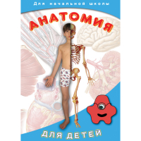 DVD  Анатомия для детей - «globural.ru» - Будённовск
