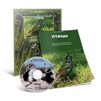 Электронное наглядное пособие «Птицы» - «globural.ru» - Будённовск