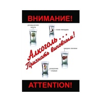DVD Алкоголь. Признать виновным - «globural.ru» - Будённовск
