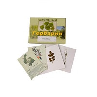 Гербарий "Деревья и кустарники" (22 вида, с иллюстрациями) - «globural.ru» - Будённовск