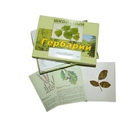 Гербарий "Дикорастущие растения" (30 видов, с иллюстрациями) - «globural.ru» - Будённовск