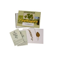 Гербарий "Лекарственные растения" (22 вида, с иллюстрациями) - «globural.ru» - Будённовск