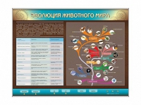 Интерактивный электрифицированный стенд "Эволюция животного мира" - «globural.ru» - Будённовск