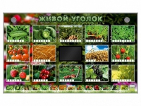 Комплект оборудования "Живой уголок" (растения) - «globural.ru» - Будённовск
