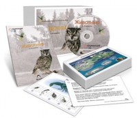 Комбинированное наглядное пособие «Животные» - «globural.ru» - Будённовск
