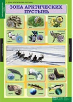 Окружающий мир 4 класс (комплект таблиц) - «globural.ru» - Будённовск