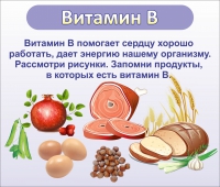 Стенд "Витамин В" - «globural.ru» - Будённовск