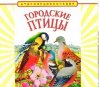 CD "Аудиоэнциклопедия. Городские птицы" - «globural.ru» - Будённовск