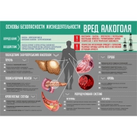 Стенд "Алкоголь" - «globural.ru» - Будённовск