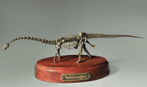 Модель скелета динозавра Diplodocus  (вариант 2) - «globural.ru» - Будённовск