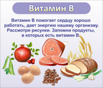 Стенд "Витамин В" - «globural.ru» - Будённовск