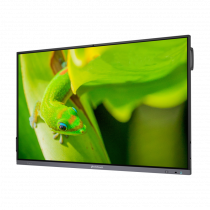 Интерактивный программно-аппаратный комплекс Geckotouch Interactive IP75GT-C в комплекте с настенным креплением - «globural.ru» - Будённовск