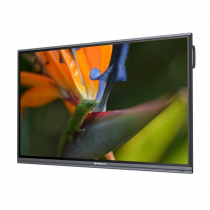 Интерактивный программно-аппаратный комплекс Geckotouch Interactive Pro IP75HT-E в комплекте с настенным креплением - «globural.ru» - Будённовск